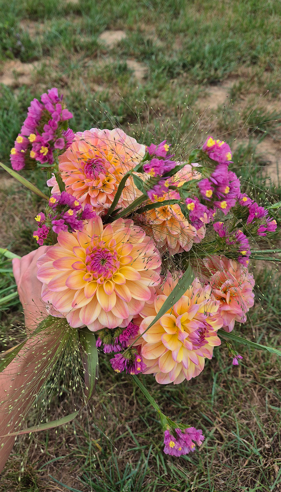 Genieten van verse bloemen