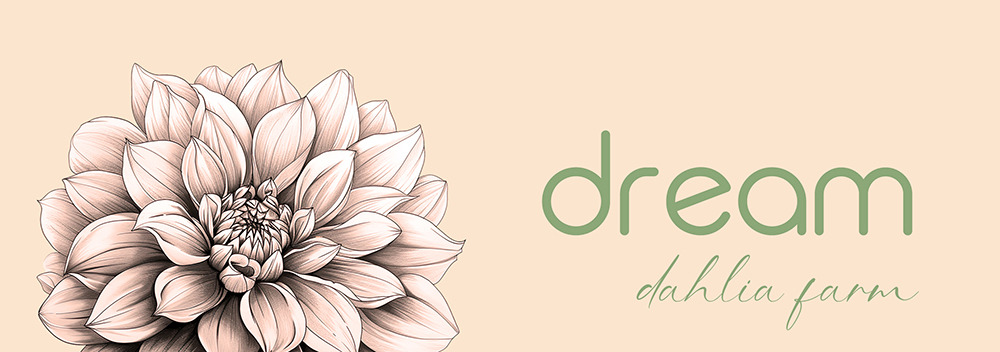 Cadeaubon Dream Dahlia Farm